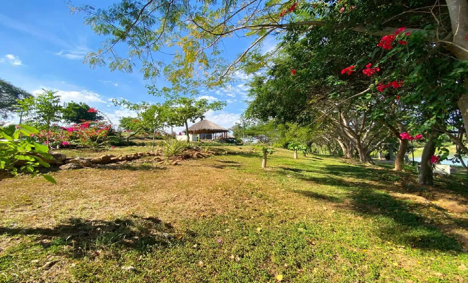 Photo 19