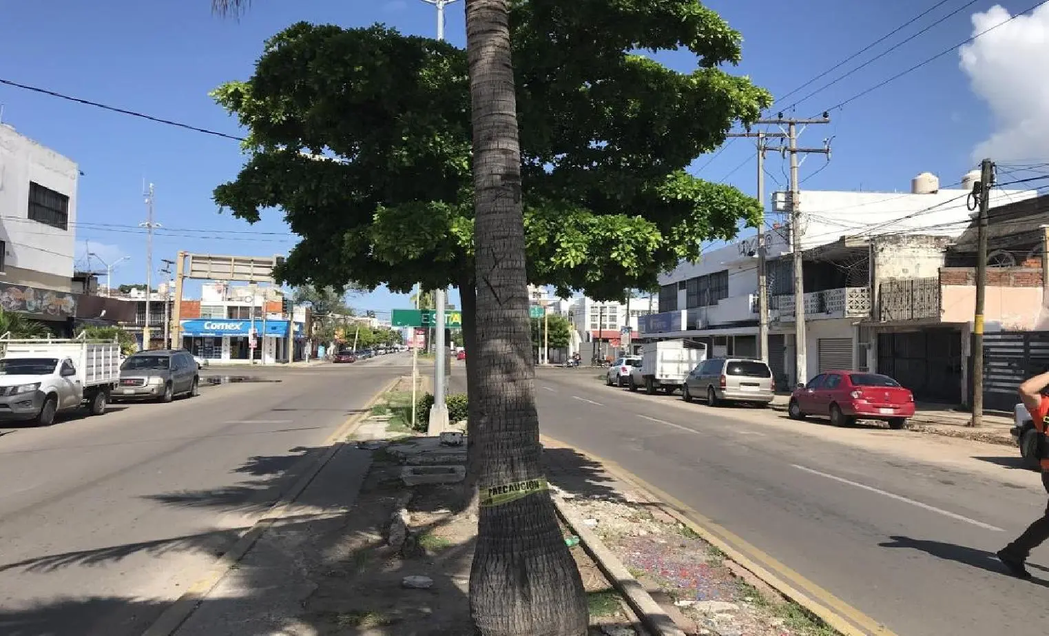 Photo 14