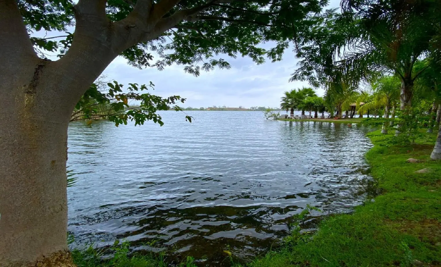Photo 23