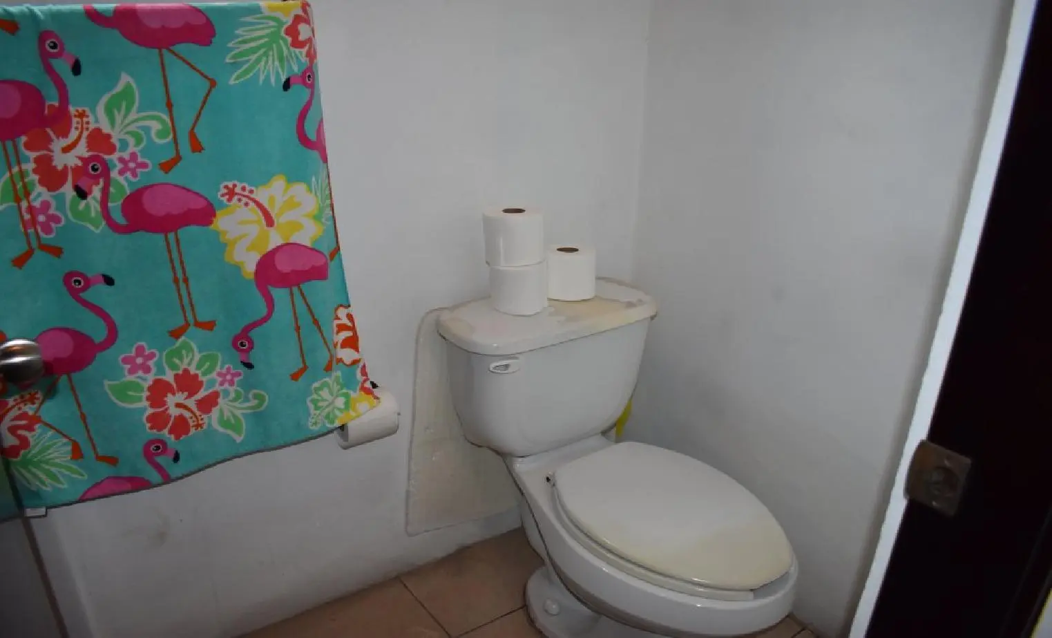 Photo 34