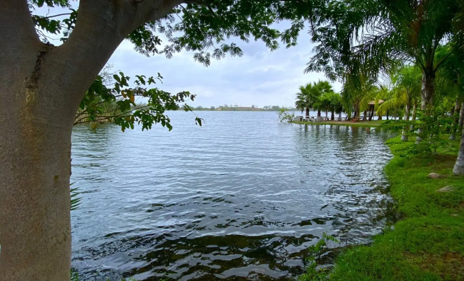 Gallery 23